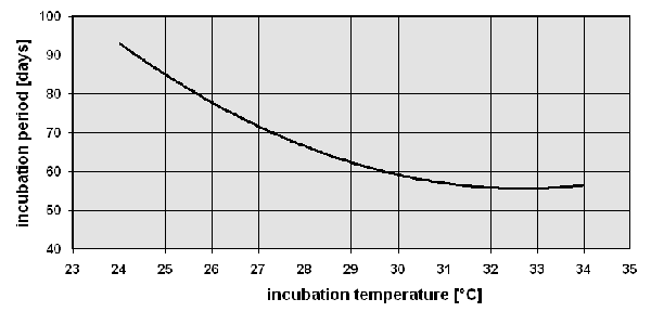 incubation period of Testudo hermanni